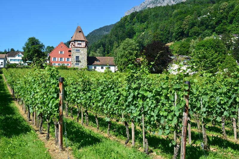 Rotes Haus mit Weinberg in Vaduz, Fürstentum Liechtenstein